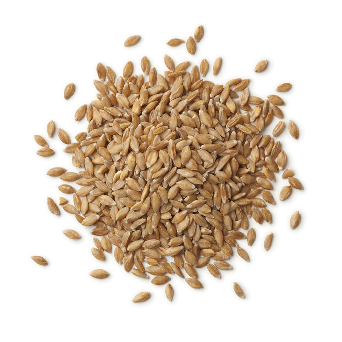 Einkorn wheat is popular for its health properties.
