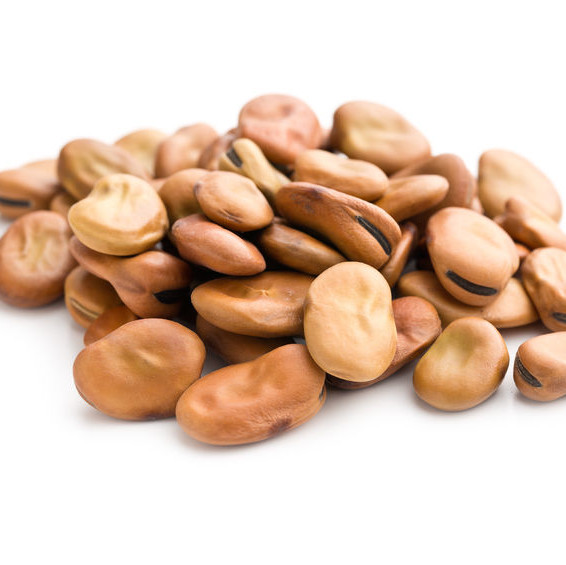 Faba beans can be dried and ground into flour, excellent for high-protein breads and gluten-free baked goods.