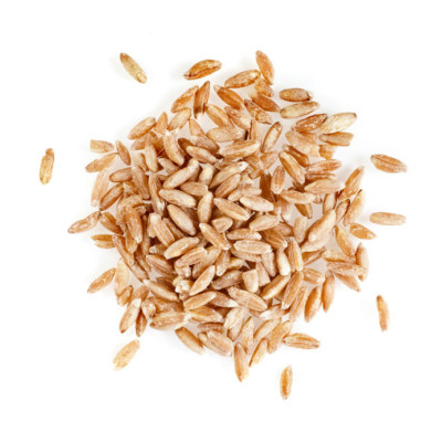 Emmer is an ancient wheat and an ancestor of modern durum.