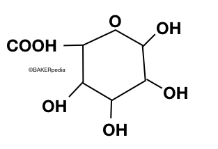 A Pectin Molecule.