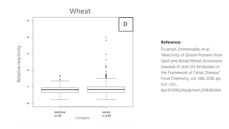 Gluten proteins in ancient and modern wheat. 