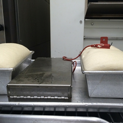 Precision Baking, - Breadometer