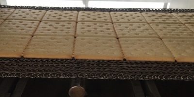 Crackers baking on a conveyor belt in the oven