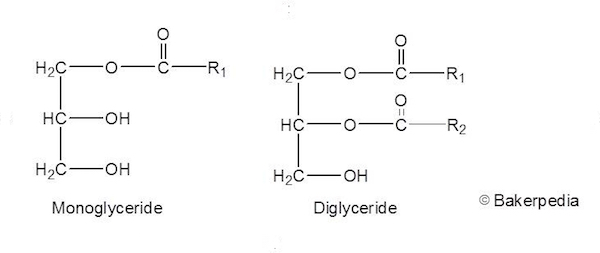 mono and diglycerides mono and diglycerides