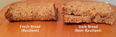 Figure 1: Fresh vs Stale Bread to show the importance of resilience.