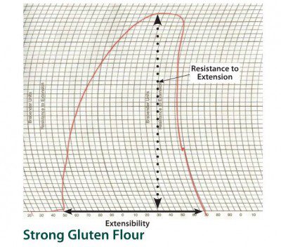 strong gluten flour-extensograph