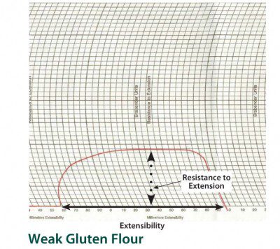 Weak gluten flour-extensograph