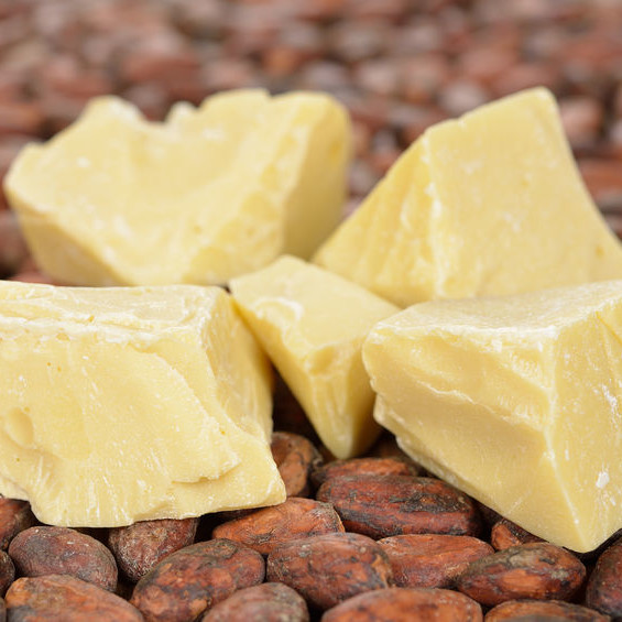 Cocoa butter is a saturated fat obtained from cocoa tree beans.