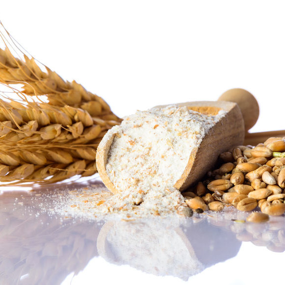 Milling processes can be used for making flour or for extracting gluten and starch (wet milling) from grains and cereals.