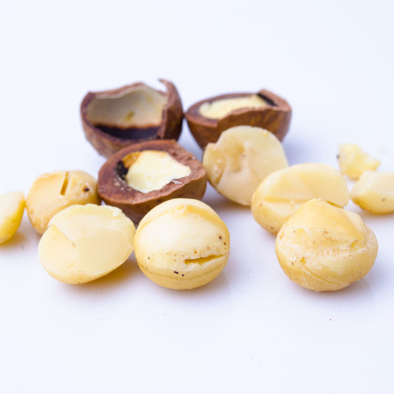 Macadamias are delicate nuts that are tasty on their own or as a premium ingredient in food products.