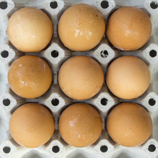 An eggs spec sheet for the production of bakery products is a document that expresses and defines the requirements that must be met by egg suppliers in order to comply with bakeries’ ingredient quality specifications and processing conditions.