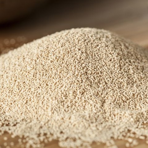 Yeast is a single-celled living organism that is widely used in baking, brewing, winemaking and other industries.