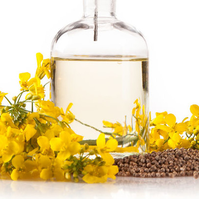 Canola Oil | Rapeseed Oil | Baking Ingredients | BAKERpedia