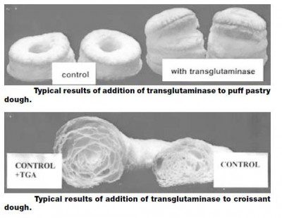 Fig. 2 – TG in croissant (from J.A. Gerrard et al., JFS, v. 65, n. 2, 2000).