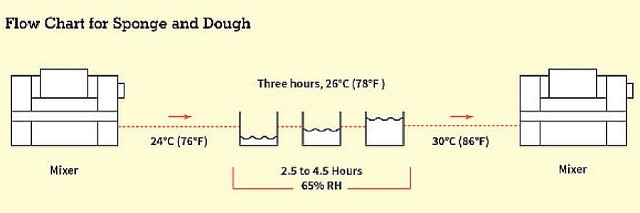 Sponge and Dough