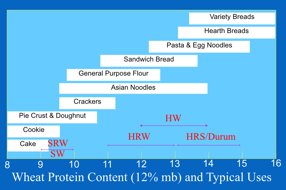Protein content by wheat class