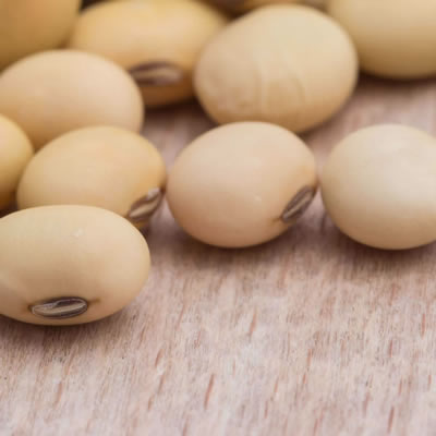 whole soybeans