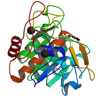 Enzymes - 3D structure of Aqualysin (protease)